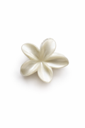 Pinza Para Cabello Flor Blanca